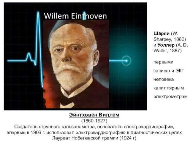 Эйнтховен Виллем (1860-1927) Создатель струнного гальванометра, основатель электрокардиографии, впервые в 1906