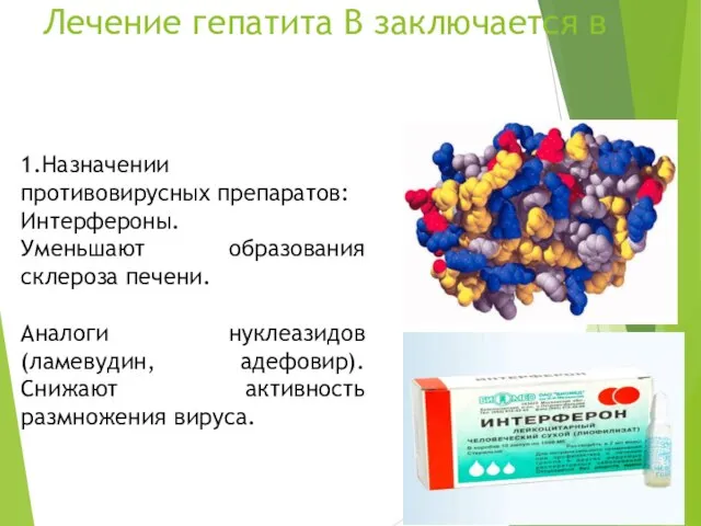 Лечение гепатита В заключается в 1.Назначении противовирусных препаратов: Интерфероны. Уменьшают образования