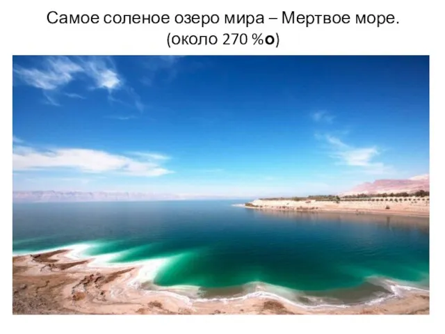 Самое соленое озеро мира – Мертвое море. (около 270 %о)