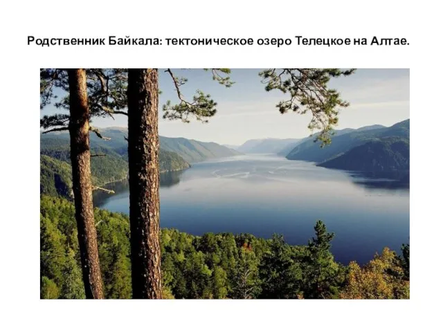 Родственник Байкала: тектоническое озеро Телецкое на Алтае.