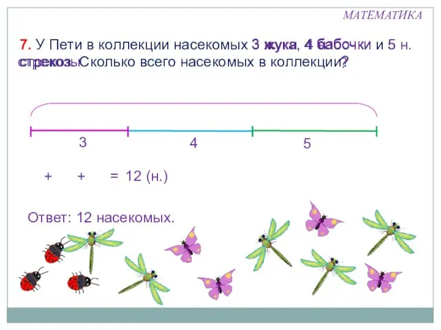 7. У Пети в коллекции насекомых 3 жука, 4 бабочки и