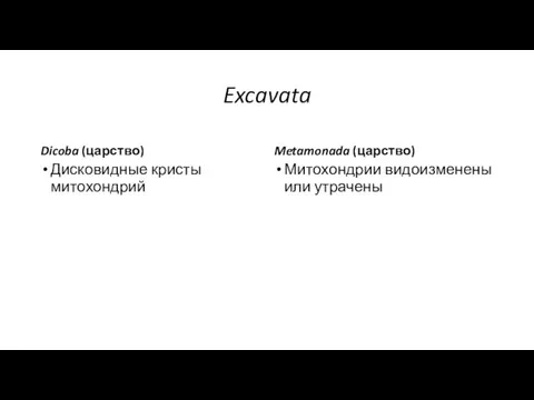 Excavata Dicoba (царство) Дисковидные кристы митохондрий Metamonada (царство) Митохондрии видоизменены или утрачены