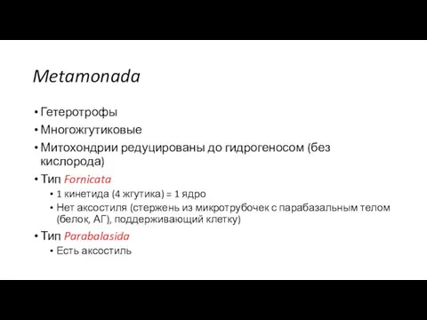 Metamonada Гетеротрофы Многожгутиковые Митохондрии редуцированы до гидрогеносом (без кислорода) Тип Fornicata