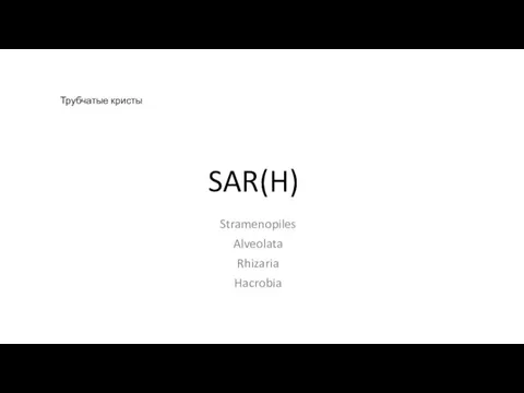 SAR(H) Stramenopiles Alveolata Rhizaria Hacrobia Трубчатые кристы