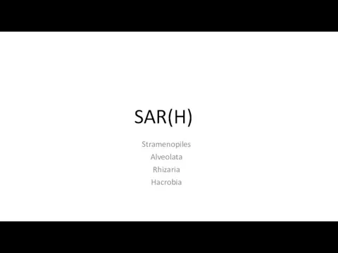 SAR(H) Stramenopiles Alveolata Rhizaria Hacrobia