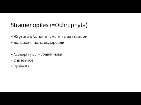 Stramenopiles (=Ochrophyta) Жгутики с 3х частными мастигонемами Большая часть, водоросли Actinophryida – cолнечники Cлизевики Opalinata