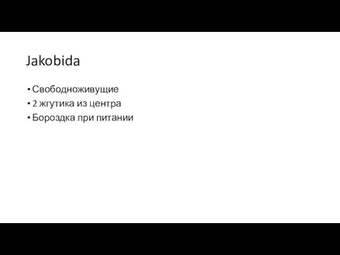 Jakobida Свободноживущие 2 жгутика из центра Бороздка при питании