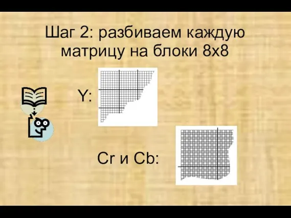 Шаг 2: разбиваем каждую матрицу на блоки 8х8 Y: Cr и Cb: