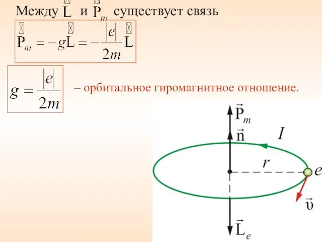 Между и существует связь – орбитальное гиромагнитное отношение.