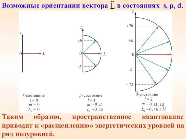 Таким образом, пространственное квантование приводит к «расщеплению» энергетических уровней на ряд