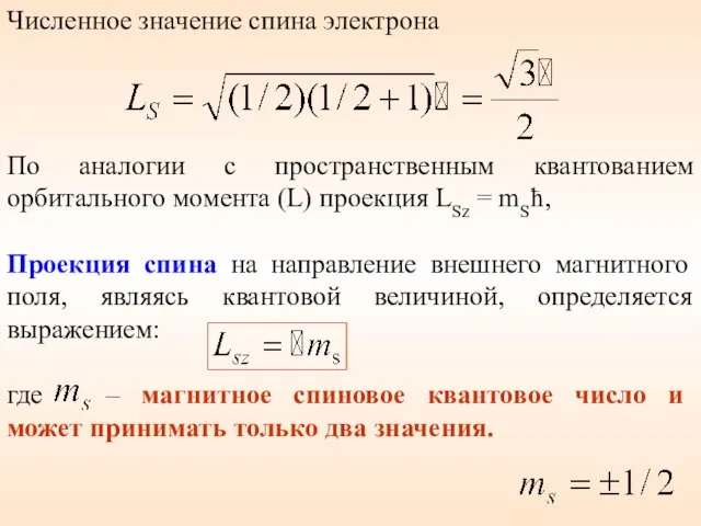 Численное значение спина электрона По аналогии с пространственным квантованием орбитального момента