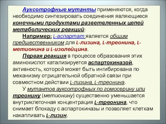 Ауксотрофные мутанты применяются, когда необходимо синтезировать соединения являющиеся конечными продуктами разветвленных