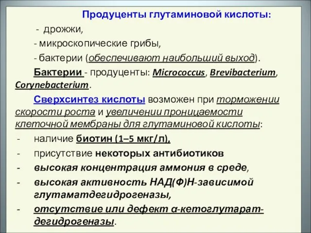 Продуценты глутаминовой кислоты: - дрожжи, - микроскопические грибы, - бактерии (обеспечивают