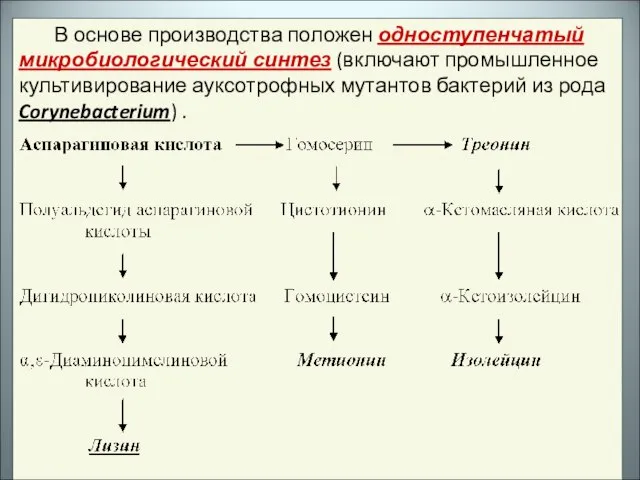 В основе производства положен одноступенчатый микробиологический синтез (включают промышленное культивирование ауксотрофных