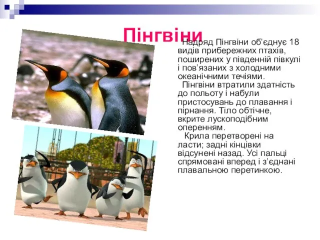 Пінгвіни Надряд Пінгвіни об’єднує 18 видів прибережних птахів, поширених у південній