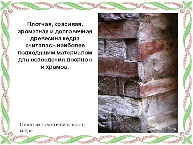 Плотная, красивая, ароматная и долговечная древесина кедра считалась наиболее подходящим материалом