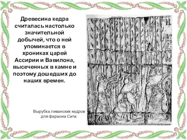 Древесина кедра считалась настолько значительной добычей, что о ней упоминается в