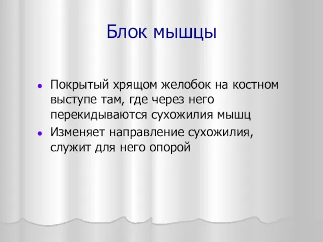 Блок мышцы Покрытый хрящом желобок на костном выступе там, где через