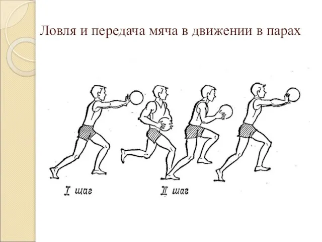 Ловля и передача мяча в движении в парах