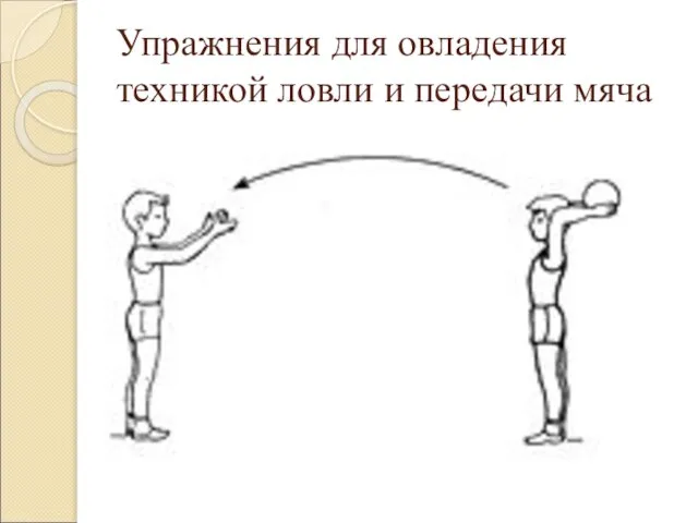 Упражнения для овладения техникой ловли и передачи мяча