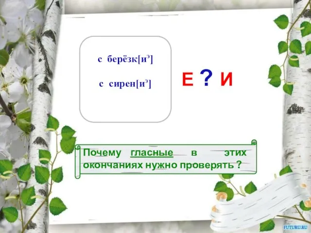 Почему гласные в этих окончаниях нужно проверять ? с берёзк[иэ] с сирен[иэ] Е ? И