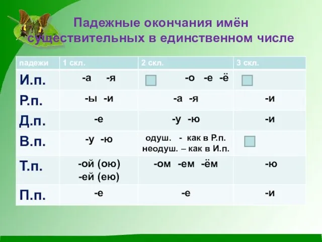 Падежные окончания имён существительных в единственном числе