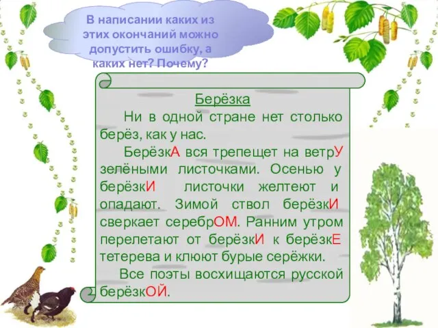 Берёзка Ни в одной стране нет столько берёз, как у нас.