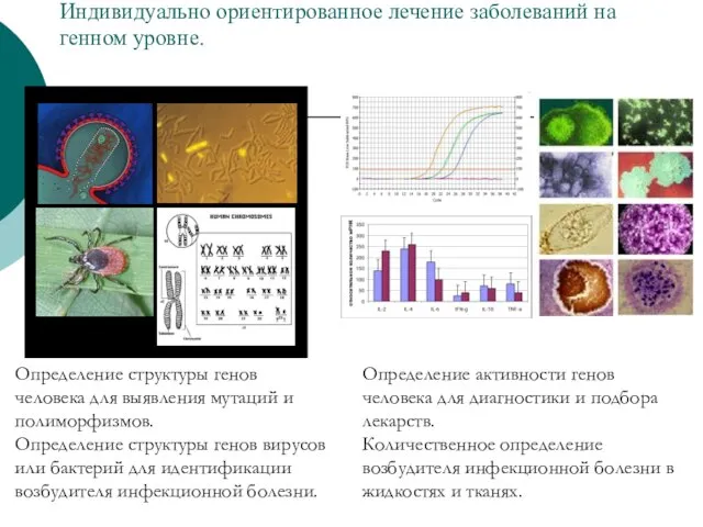 Индивидуально ориентированное лечение заболеваний на генном уровне. Определение структуры генов человека