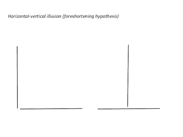 Horizontal-vertical illusion (foreshortening hypothesis)