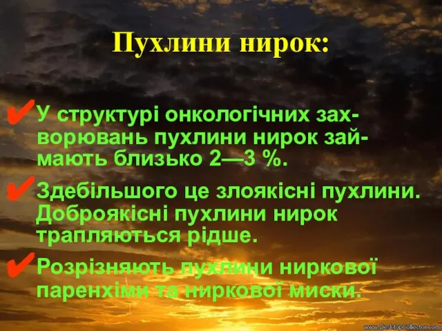 Пухлини нирок: У структурі онкологічних зах-ворювань пухлини нирок зай-мають близько 2—3