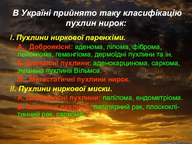 В Україні прийнято таку класифікацію пухлин нирок: /. Пухлини ниркової паренхіми.