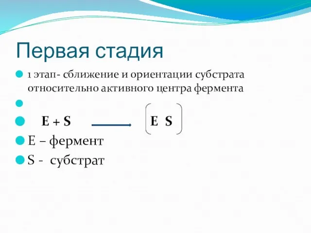 Первая стадия 1 этап- сближение и ориентации субстрата относительно активного центра