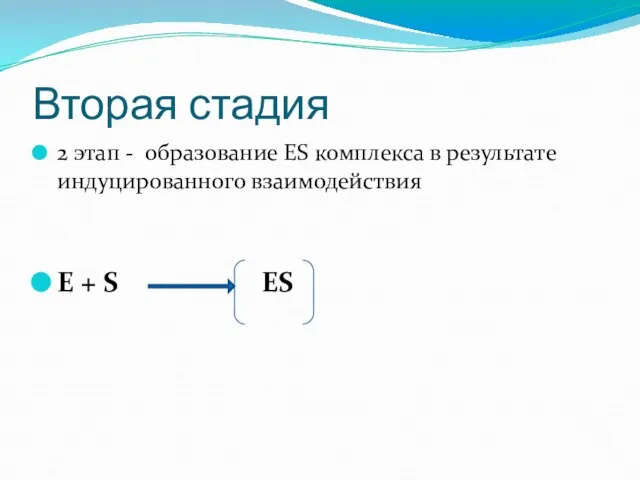 Вторая стадия 2 этап - образование ЕS комплекса в результате индуцированного взаимодействия Е + S ЕS