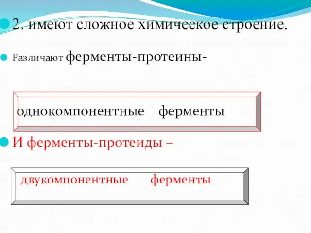 2. имеют сложное химическое строение. Различают ферменты-протеины- однокомпонентные ферменты И ферменты-протеиды – двукомпонентные ферменты