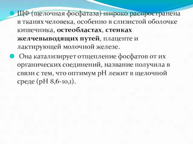 ЩФ (щелочная фосфатаза) широко распространена в тканях человека, особенно в слизистой