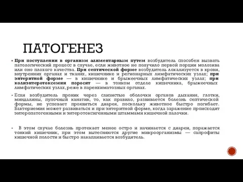 ПАТОГЕНЕЗ При поступлении в организм алиментарным путем возбудитель способен вызвать патологический