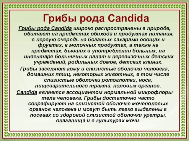 Грибы рода Candida Грибы рода Candida широко распространены в природе, обитают