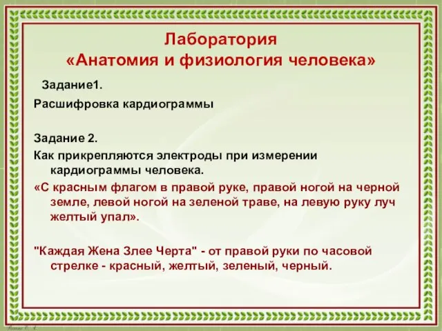 Лаборатория «Анатомия и физиология человека» Задание1. Расшифровка кардиограммы Задание 2. Как