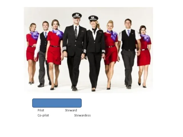 Cabin crew Pilot Steward Co-pilot Stewardess