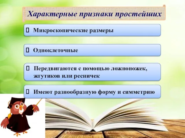 Характерные признаки простейших Микроскопические размеры Одноклеточные Передвигаются с помощью ложноножек, жгутиков