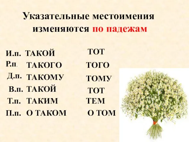 ТАКОЙ ТАКОГО ТАКОМУ ТАКОЙ ТАКИМ О ТАКОМ И.п. Р.п. Д.п. В.п.