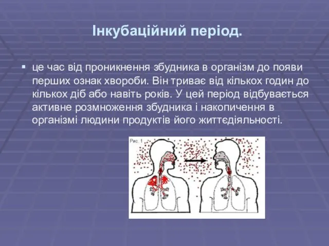 Інкубаційний період. це час від проникнення збудника в організм до появи