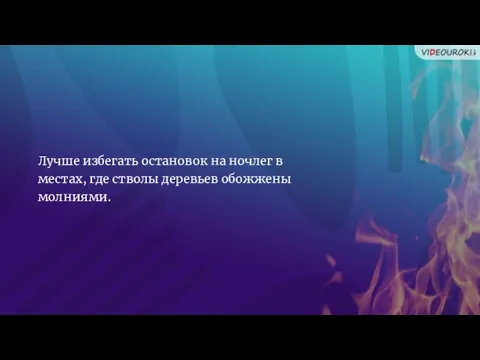 Лучше избегать остановок на ночлег в местах, где стволы деревьев обожжены молниями.