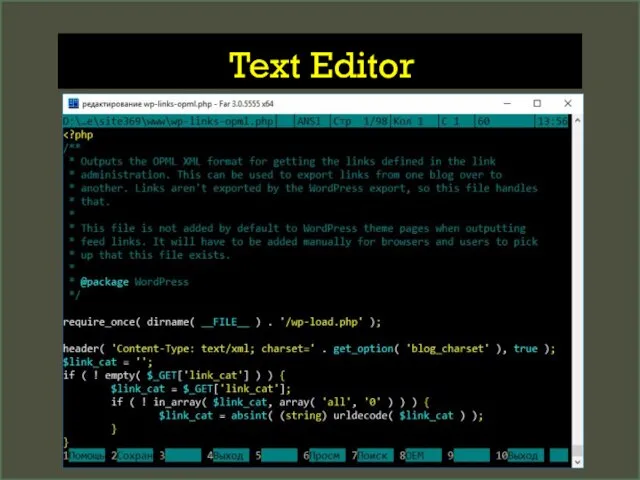 Text Editor