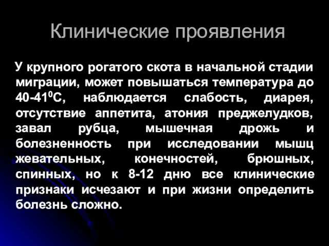 Клинические проявления У крупного рогатого скота в начальной стадии миграции, может