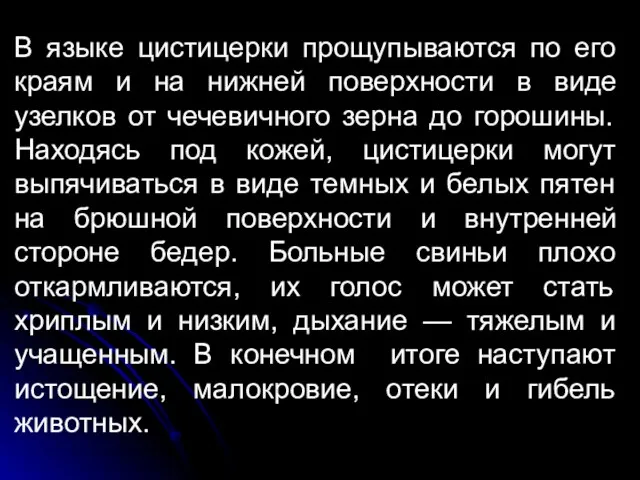 В языке цистицерки прощупываются по его краям и на нижней поверхности