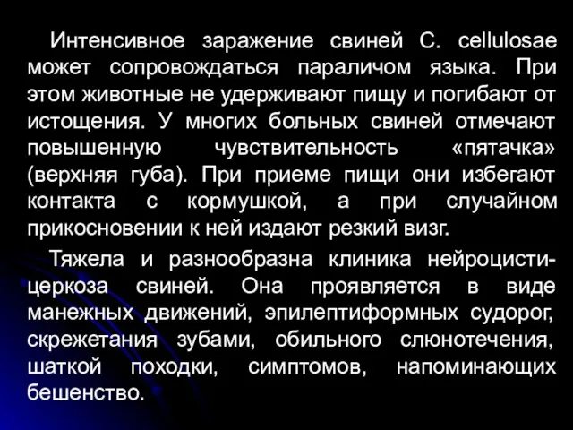 Интенсивное заражение свиней С. cellulosae может сопровождаться параличом языка. При этом