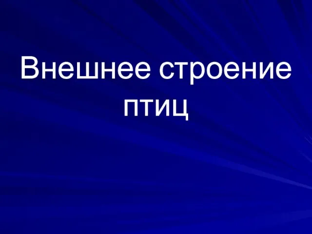 Внешнее строение птиц