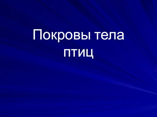 Покровы тела птиц