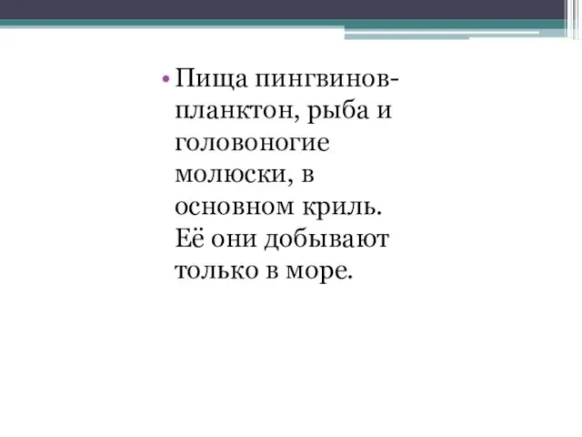 Пища пингвинов- планктон, рыба и головоногие молюски, в основном криль. Её они добывают только в море.